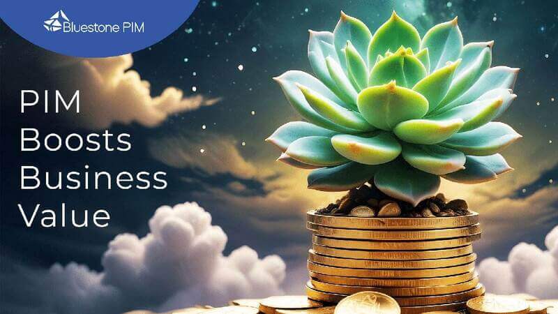 7 Ways a PIM Solution Drives Business Value (with Examples)